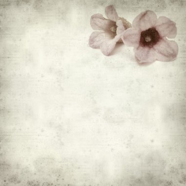 desenli eski kağıt arkaplan  