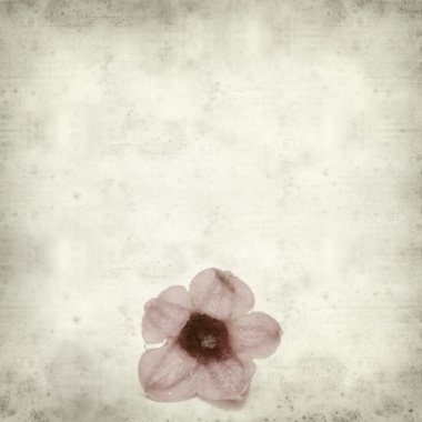 desenli eski kağıt arkaplan  