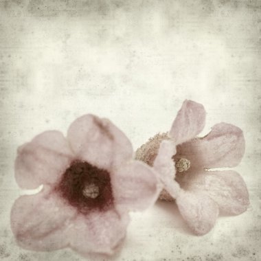 desenli eski kağıt arkaplan  