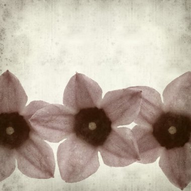 desenli eski kağıt arkaplan  