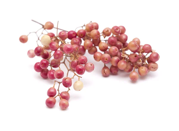 Pink peppercorn clusters isolated on white — Stock Photo, Image
