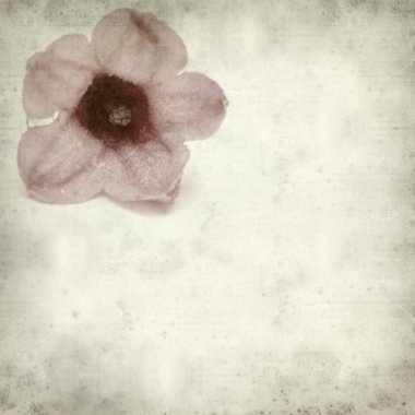 desenli eski kağıt arkaplan  