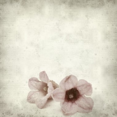 desenli eski kağıt arkaplan  