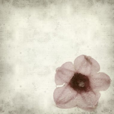 desenli eski kağıt arkaplan  