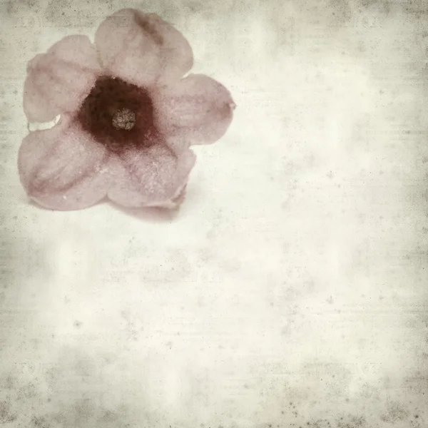 desenli eski kağıt arkaplan  