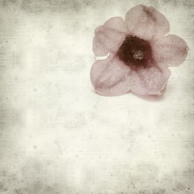 desenli eski kağıt arkaplan  