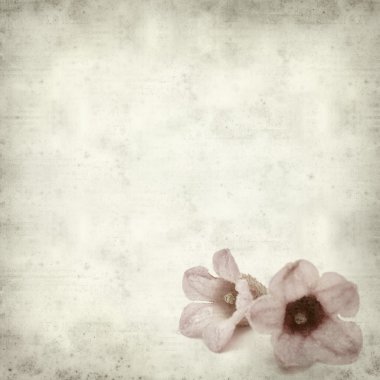 desenli eski kağıt arkaplan  