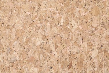 mantar pano yüzey arka plan