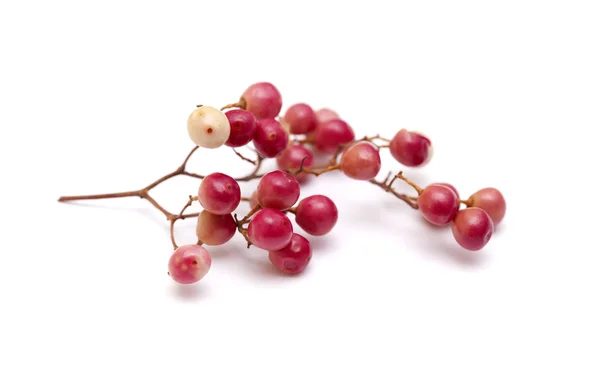 Pink peppercorn clusters isolated on white — Stock Photo, Image