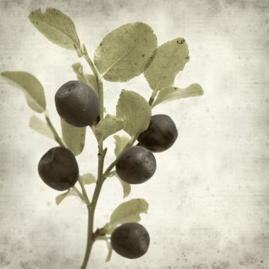 desenli eski kağıt arkaplan  