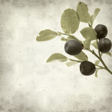 desenli eski kağıt arkaplan  