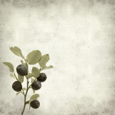 desenli eski kağıt arkaplan  