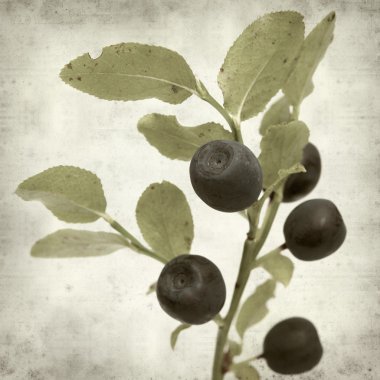 desenli eski kağıt arkaplan  