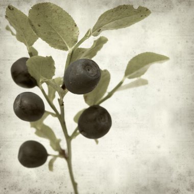 desenli eski kağıt arkaplan  