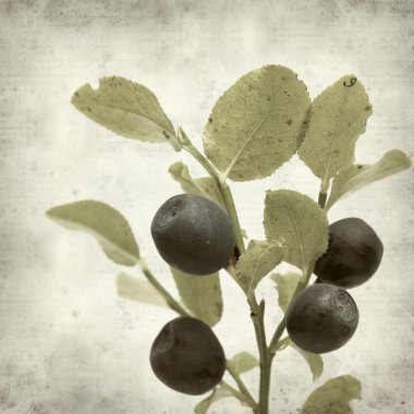 desenli eski kağıt arkaplan  