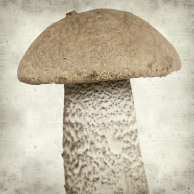 desenli eski kağıt arkaplan  