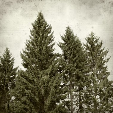 desenli eski kağıt arkaplan  