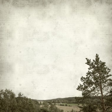 desenli eski kağıt arkaplan  