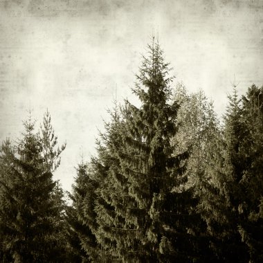 desenli eski kağıt arkaplan  