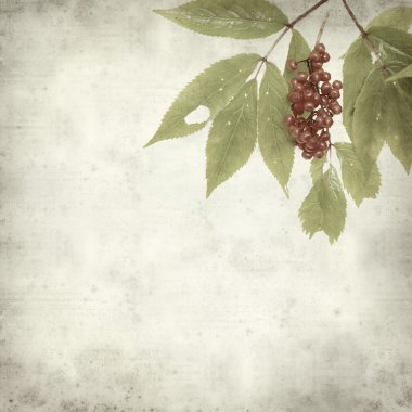 desenli eski kağıt arkaplan  