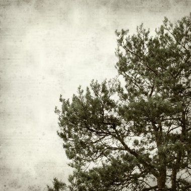 desenli eski kağıt arkaplan  