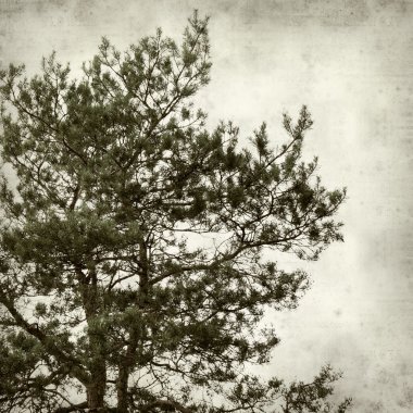 desenli eski kağıt arkaplan  