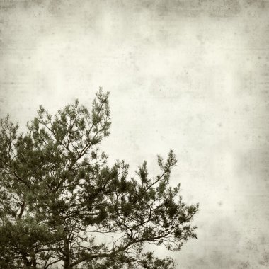 desenli eski kağıt arkaplan  