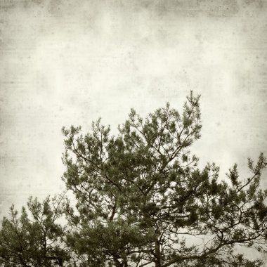 desenli eski kağıt arkaplan  