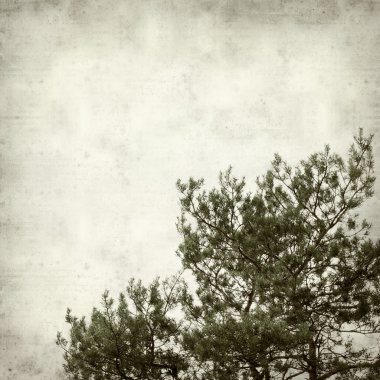 desenli eski kağıt arkaplan  