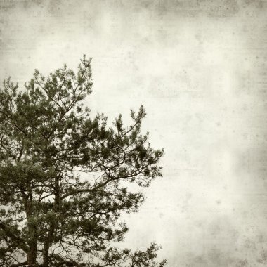 desenli eski kağıt arkaplan  