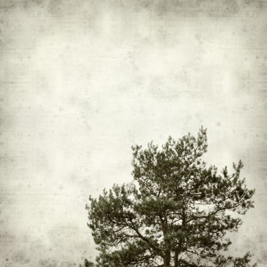 desenli eski kağıt arkaplan  