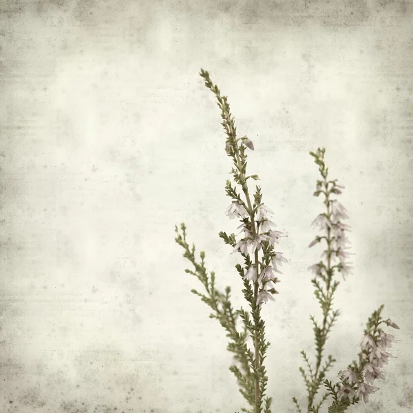 Textured old paper background — Stock Photo, Image