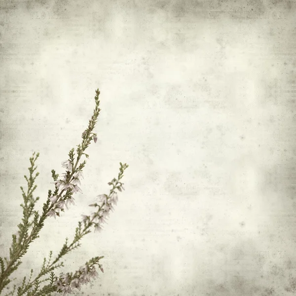 Textured old paper background — Stock Photo, Image