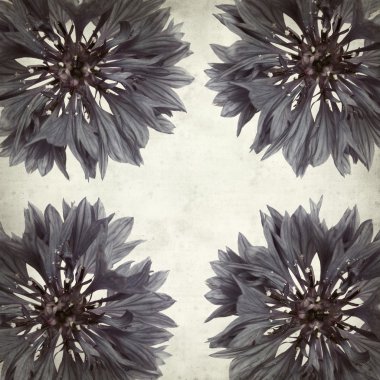 desenli eski kağıt arkaplan  