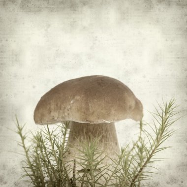 desenli eski kağıt arkaplan  