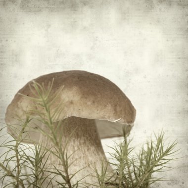 desenli eski kağıt arkaplan  