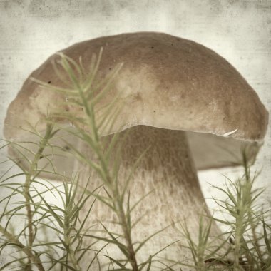 desenli eski kağıt arkaplan  