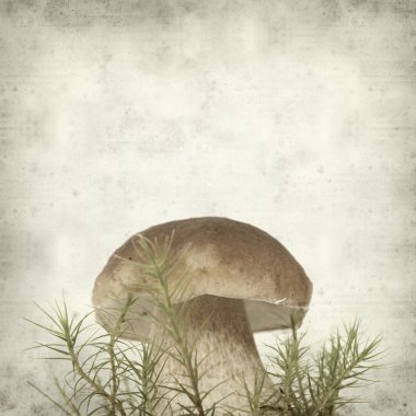 desenli eski kağıt arkaplan  