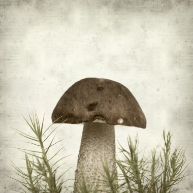 desenli eski kağıt arkaplan  