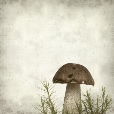 desenli eski kağıt arkaplan  