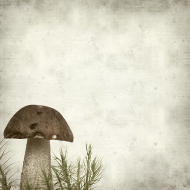 desenli eski kağıt arkaplan  