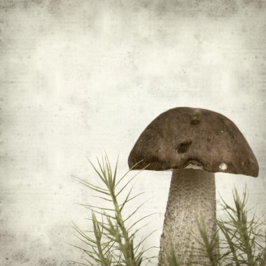 desenli eski kağıt arkaplan  