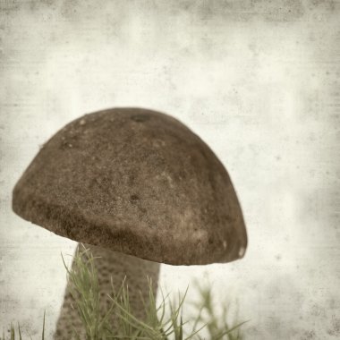 desenli eski kağıt arkaplan  