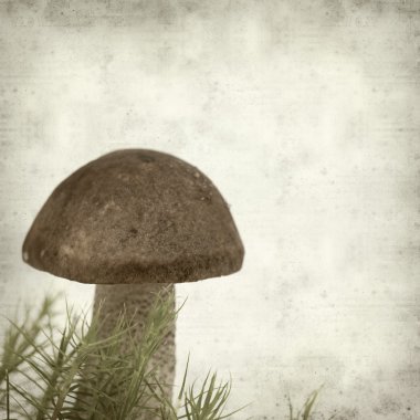 desenli eski kağıt arkaplan  