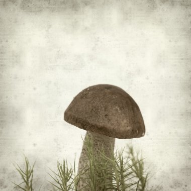 desenli eski kağıt arkaplan  