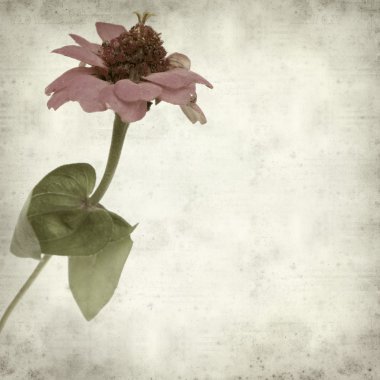 desenli eski kağıt arkaplan  