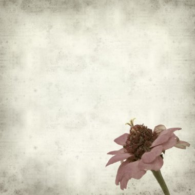 desenli eski kağıt arkaplan  