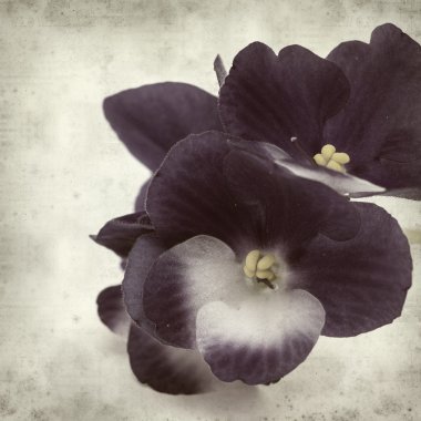 desenli eski kağıt arkaplan  