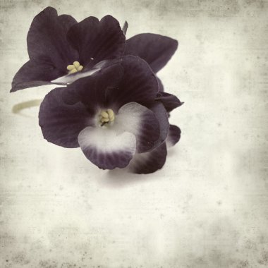 desenli eski kağıt arkaplan  