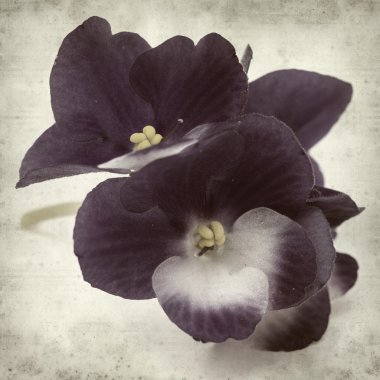 desenli eski kağıt arkaplan  